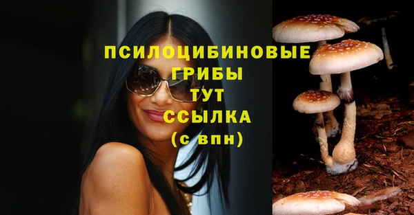 прущие крисы Заволжье