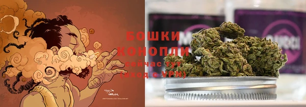 ПСИЛОЦИБИНОВЫЕ ГРИБЫ Ельня