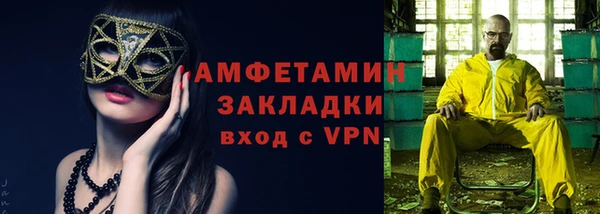 ПСИЛОЦИБИНОВЫЕ ГРИБЫ Ельня