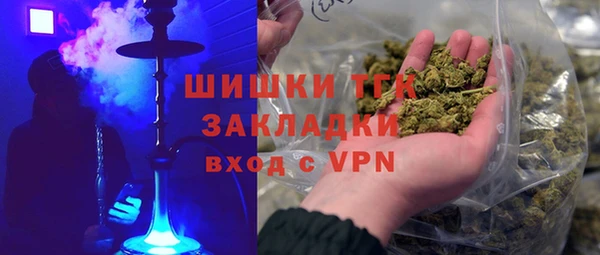 ПСИЛОЦИБИНОВЫЕ ГРИБЫ Ельня