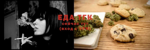 ПСИЛОЦИБИНОВЫЕ ГРИБЫ Ельня