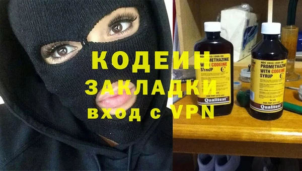 ПСИЛОЦИБИНОВЫЕ ГРИБЫ Ельня