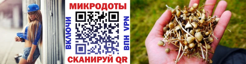 Купить  Давлеканово  Галлюциногенные грибы Magic Shrooms 